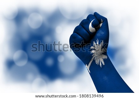 Flag of State of South Carolina painted on male fist, strength,power,concept of conflict. On a blurred background.