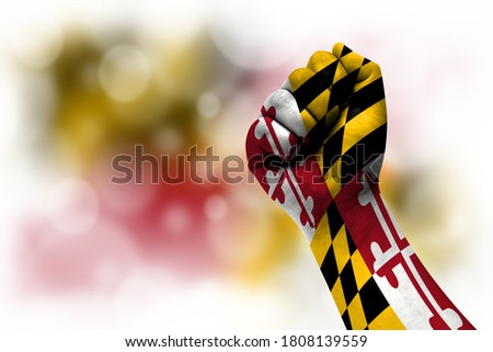 Flag of State of Maryland painted on male fist, strength,power,concept of conflict. On a blurred background.