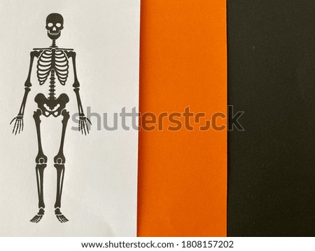 Human skeleton with orange and black background