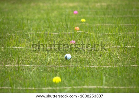 Beautiful social distancing concept by using ball on grass. Education concept.