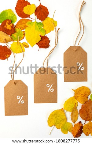 Autumn creative composition, top view, flat layer, dried bright colored leaves on a white background, copy space, sales template, layout, flyers. 
