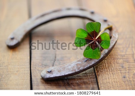 Horseshoe and shamrock on wooden background, closeup.