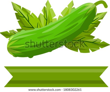 Cucumber. Green fresh vegetable and leaves. Harvesting and healthy food. Element of vegetarian food. Cartoon flat logo illustration