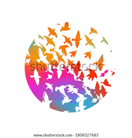 Bird watercolor. A flock of colorful birds. Mixed media. Abstraction in a circle of a bird. Vector illustration