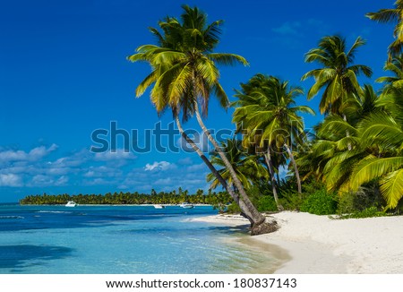 Caribbean beach with a lot of palms and white sand, Dominican Republic Royalty-Free Stock Photo #180837143