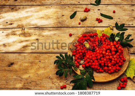 Ripe rowan berries and cherry plum fruits on round plate. Autumn good mood, old wooden boards background, copy space