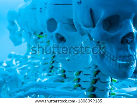 Skeletons and skulls in a row, grinning, deep eye sockets