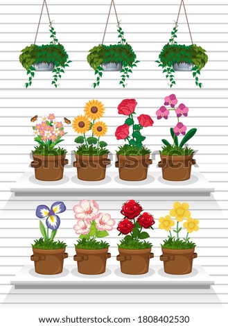 Set of plant on shelves illustration