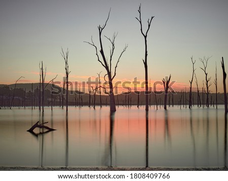 Moogerah Dam during drought conditions in Australia taken at low light in the sunrise with slow shutter speeds to smooth water.  Dead trees litter the water. Beautiful colours.      