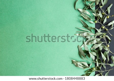 Branches in pastel gray-green tones on pastel green background.  place fo text Royalty-Free Stock Photo #1808448883