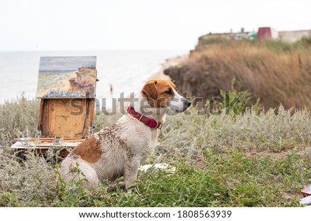 happy wet jack russell terrier sitting on the slope near the easel with a picture, horizontal format