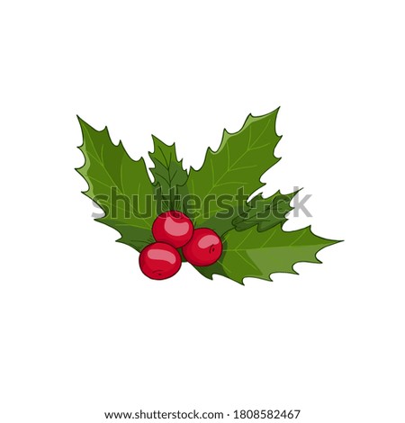 Vector illustration of hand drawn branch of holly berry isolated on white background