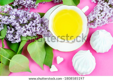 A mug of green tea, marshmallows, sugar cubes, and a blooming branch of lilac on a bright pink background. Good morning! The concept of the celebration. Birthday greetings, March 8, mother's day.