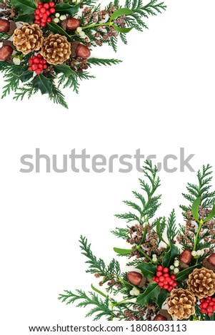 Festive Christmas border with gold pine cones & winter flora of holly, mistletoe, acorns & cedar cypress on white background. Xmas and New Year decorative display. Flat lay, top view, copy space.