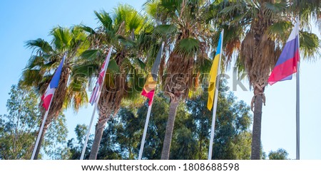 international country nationality flags on flagpole trees palm background outdoor