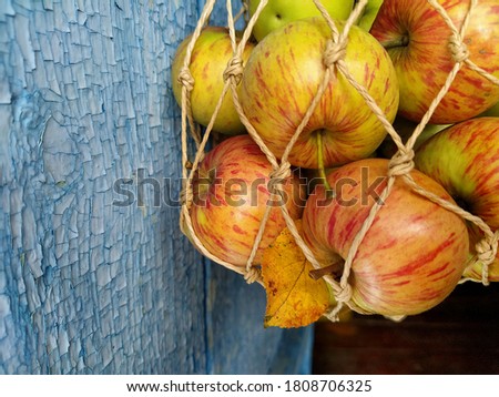 The apples in the bag-the mesh on the background of a wooden wall painted in blue color. Close up. Image with selective focus