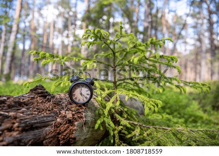 Retro alarm clock in green forest. Abstract photo of time.