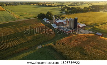 Aerial view of farm, red barns, corn field in September. Harvest season. Rural landscape, american countryside. Sunny morning Royalty-Free Stock Photo #1808739922
