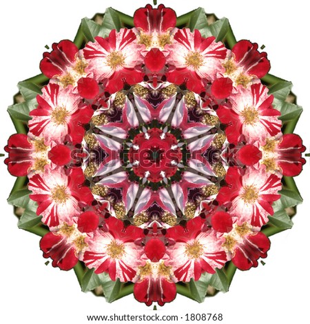 Rose kaleidoscope