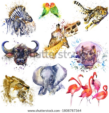 Safary animals set. African fauna. wild animal watercolor illustration. Zebra, parrot, cheetah, buffalo, giraffe, hippo, lion, elephant, flamingo.