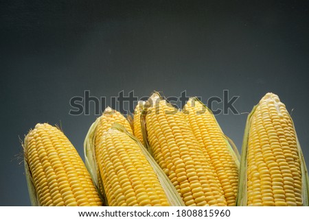 Selective focus Macro Photo food vegetable sweet raw ear corn, vegetable product big sweet maize corns