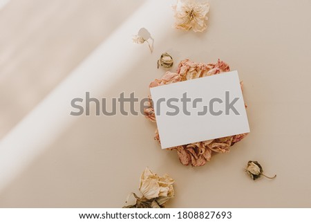 Blank paper sheet card with empty copy space and flower buds with sunlight shadows on beige background. Flat lay, top view business mock up template.