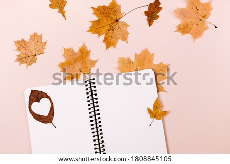 Autumn and winter composition. Notebook and dry autumn leaves maple on pastel pink background. Thanksgiving, fall, halloween concept. Flat lay, top view, copy space
