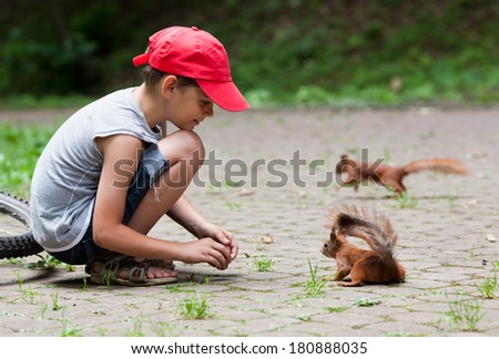 Cute little boy feeding squirrels at park