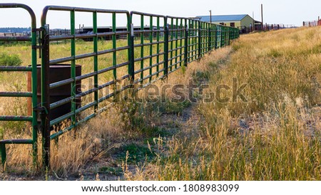 Pastoral scene of a late summer afternoon of a farming area near Denver with barn, corrals, pasture grass