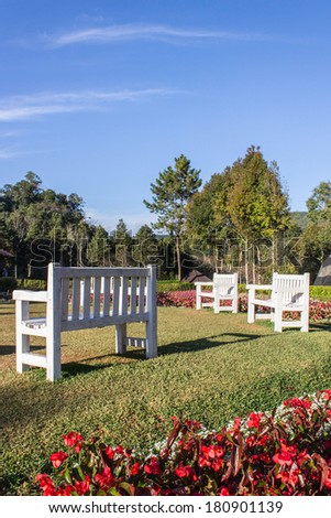 White chairs in a beautiful garden