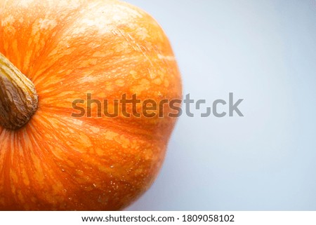 orange pumpkin on a white background. pumpkin is traditionally used on the Halloween holiday. autumn time
