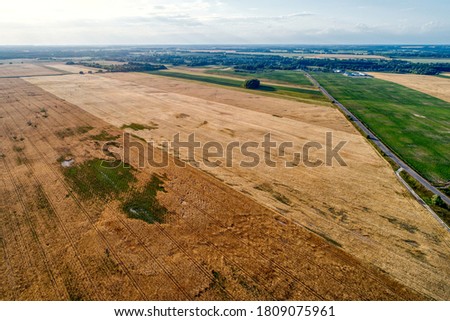 Rural flat landscape. Plowed and sown fields. Shooting from a quadcopter.