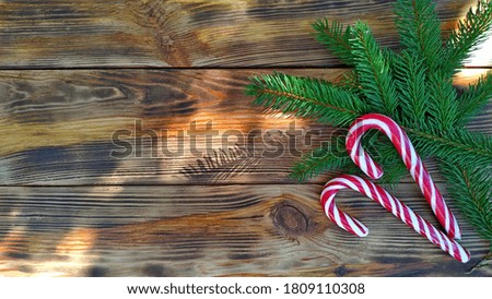 christmas background for postcard. fir branches and christmas lollipops on weathered wood background