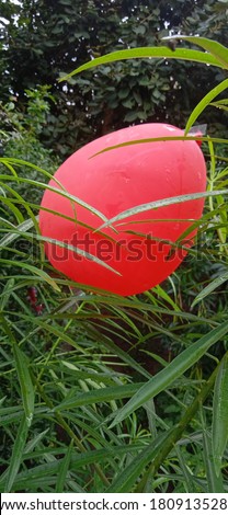 Picture of a oval shaped red colored balloon hanging over the surface in between the leaves of the nearby plants