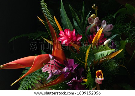 Hawaiian tropical flowers bouquet colourful beautiful flower arrangement  Royalty-Free Stock Photo #1809152056
