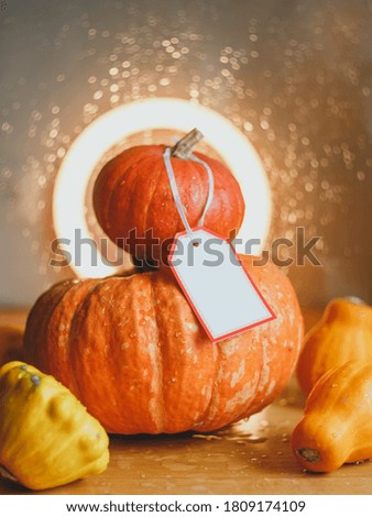Autumn composition of pumpkins and squash. Greeting card.