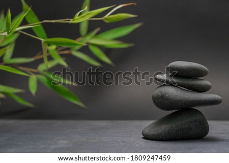 Spa zen basalt stones and green bamboo leaves on black background. The concept of wellness, relaxation, massage and well-being. Still life background. Harmony and balance.