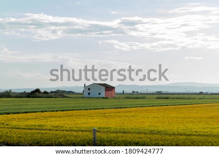 old farm in green garden with a bright blue sky 