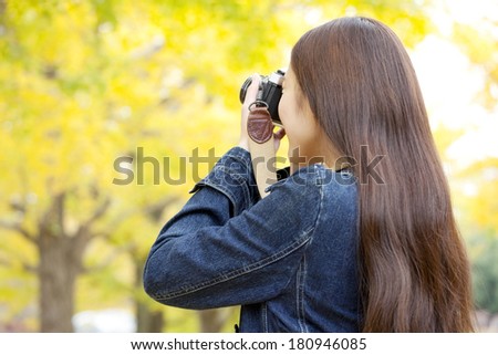 Back of a Japanese woman taking a picture of gingko