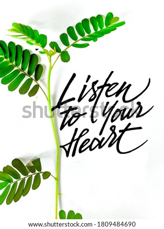 listen to your heart, inspiration lettering quotes with green leaf and isolated white background