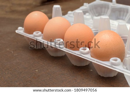 A row of chicken egg inside it container. Chicken egg getting from the shop and used for cooking. Selective focus image. Image may contain noise and grain due to low light. 