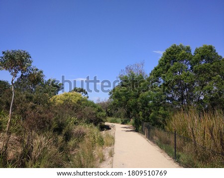 The Sydney park on the sunny day in early spring in September