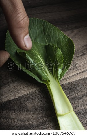 Fresh vegetables stock photography