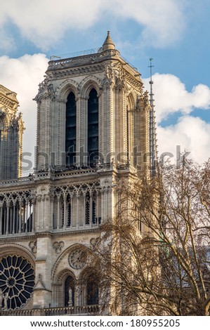 The right tower of the Notre Dame de Paris with a leaf-less tree - late fall in Paris, France - HDR picture