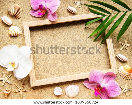Summer beach decoration:  frame with orchids, shells and starfish on a sand background