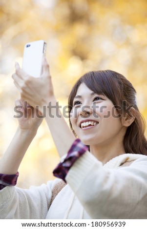 Japanese woman taking photos of ginkgo using a smart phone