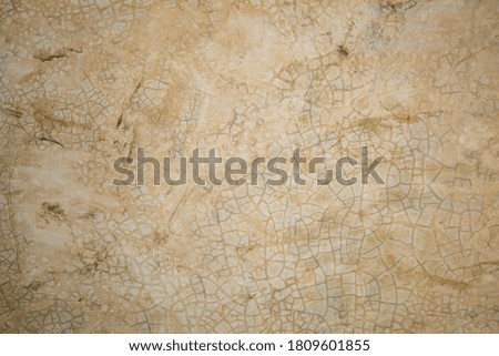 Abstract background grey of the cement wall