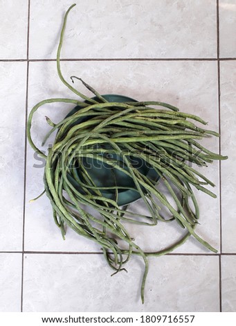 Long beans on a green plate on a white floor. Great for vegetable shops, backdrops and more.
