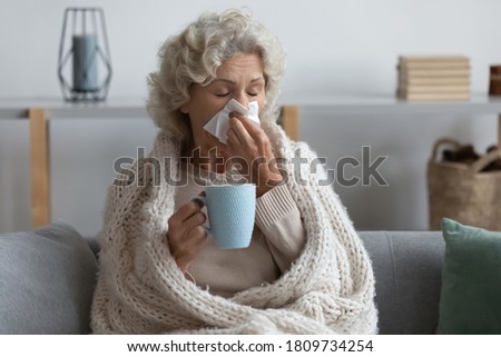 Sick mature woman wrapped blanket blowing running nose, feeling unhealthy and ill, upset middle aged female holding paper napkin, handkerchief, holding tea or coffee mug, sitting on couch at home Royalty-Free Stock Photo #1809734254