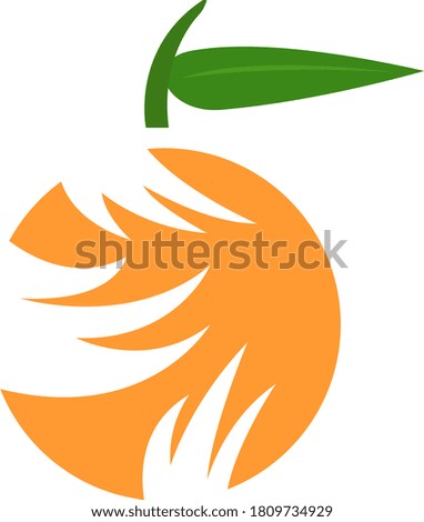 Bright Orange on white background. Tropical fruit logo with green leaf food. Vitamin concept.